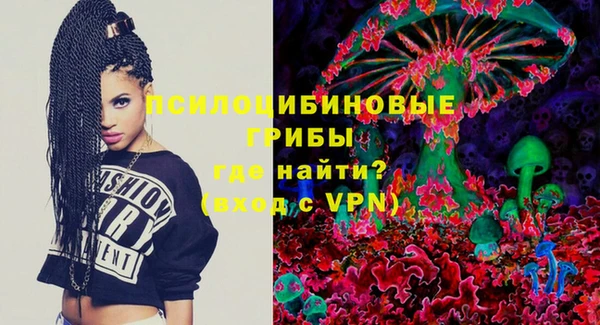 шишки Дмитров