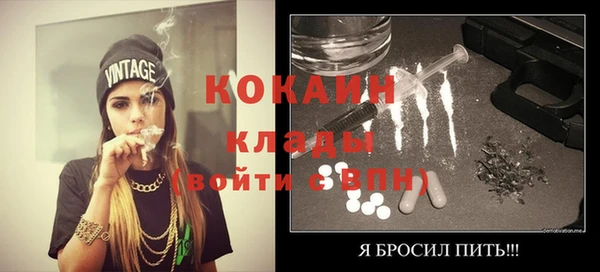 винт Губаха
