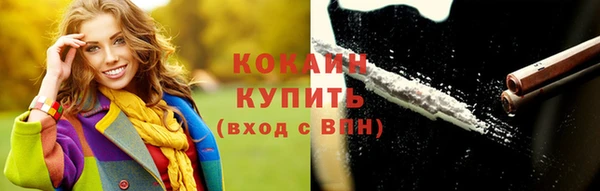 шишки Дмитров