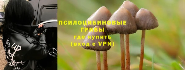 шишки Дмитров