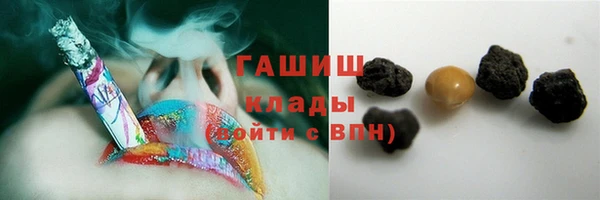 винт Губаха