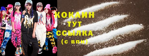 шишки Дмитров
