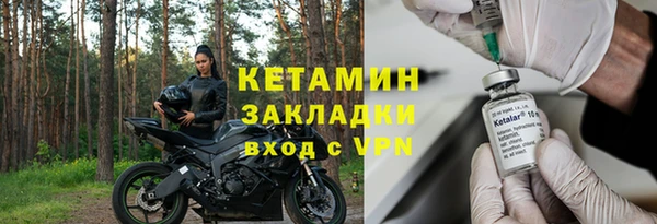 шишки Дмитров