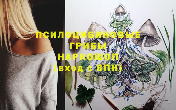 шишки Дмитров