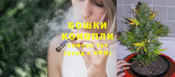 шишки Дмитров