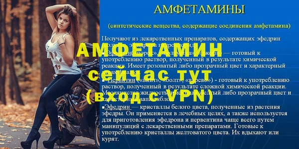 шишки Дмитров