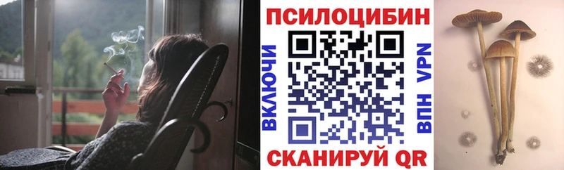 цена   дарк нет наркотические препараты  Псилоцибиновые грибы MAGIC MUSHROOMS  Ермолино 